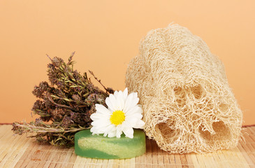 Loofah on color background