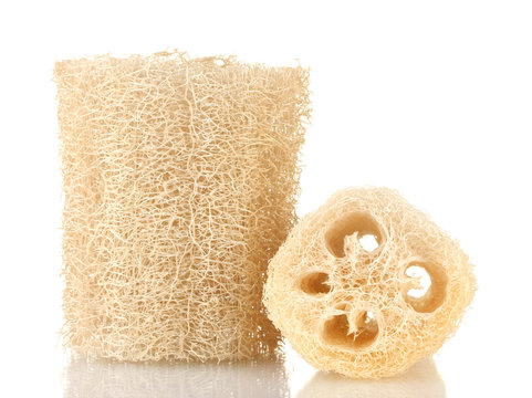 Loofah isolated on white