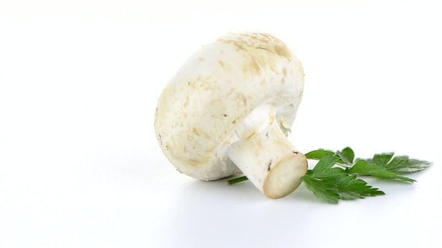 Champignon mushroom white agaricus with parsley
