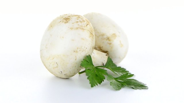 Champignon mushroom white agaricus with parsley