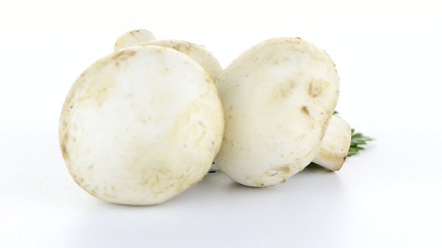 Champignon mushroom white agaricus with parsley