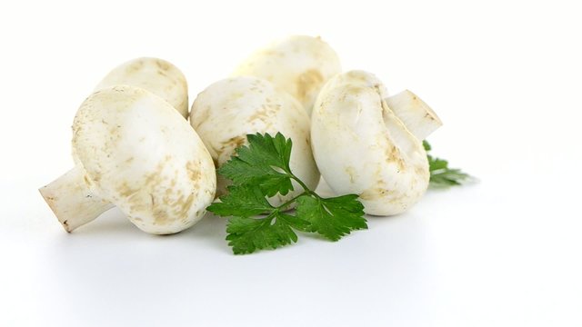 Champignon mushroom white agaricus with parsley
