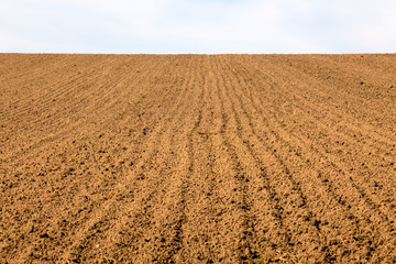 Feld eines Bauern