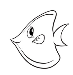 a fish