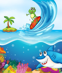 frog and shark fish in sea