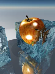 Plexiglas foto achterwand Bevroren appelvoedselconservering © rolffimages