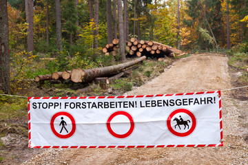Gesperrter Wald