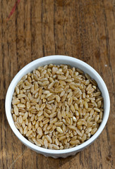 Wheat  Grain In The White Bowl
