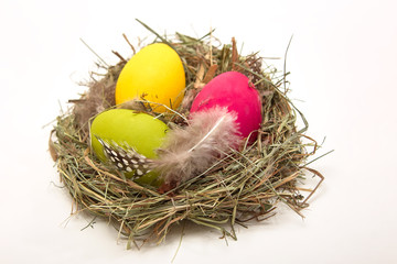 Easter eggs in the nest