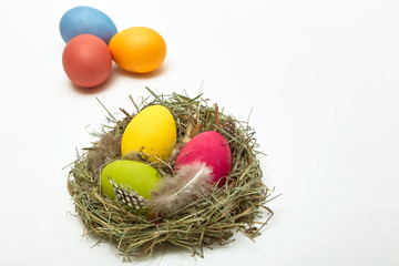 Easter eggs in the nest