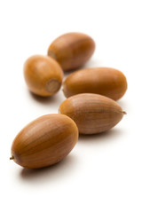Heap of acorns on white