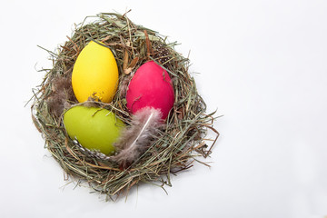 Easter eggs in the nest