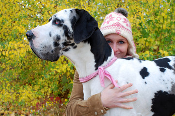 grosse deutsche Dogge im Profil mit Frau
