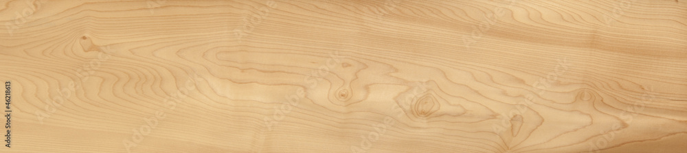 Wall mural maple canadian texture