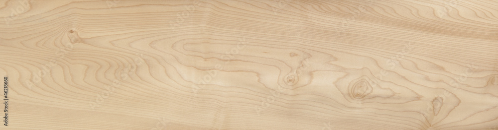 Wall mural european maple texture