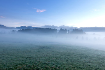 Fototapeta premium veduta dal cansiglio 2375