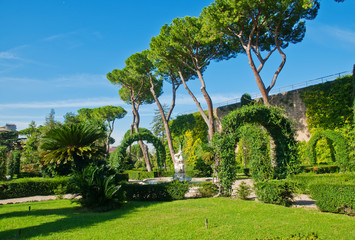 View of the Vatican Gardens