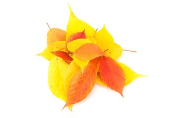 Herbstlaub