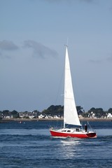 navigation à la voile dans le golfe du morbihan,bretagne