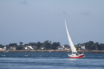 navigation à la voile dans le golfe du morbihan,bretagne
