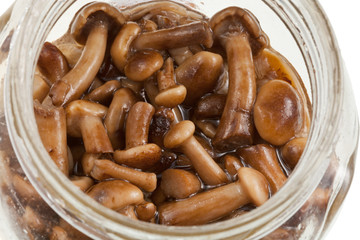pickled mushrooms in glass jar