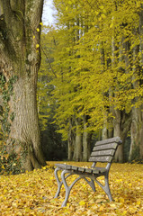 Herbst im Lindenhofpark bei Lindau