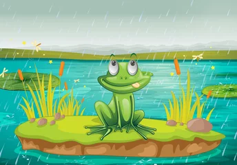 Acrylic prints Submarine a frog and a water