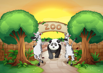 un zoo et les animaux