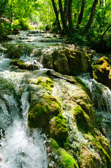 Fototapeta premium Plitvice Lakes National Park, Croatia