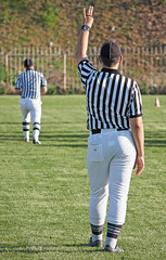 Fototapeta premium rugby referee
