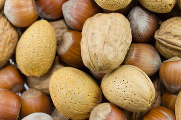 Almond, hazelnut and walnut