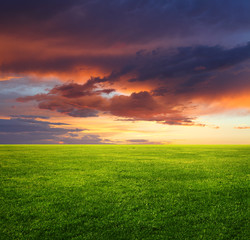 Fototapeta na wymiar Obraz z zielonym polu trawy i piękne niebo wieczorem