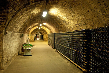 Wine cellar in Hungary