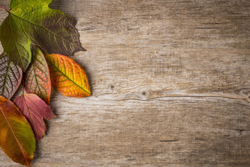Herbst_01