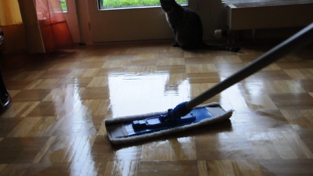 Putztag