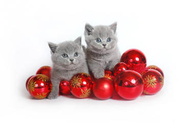 Two kittens with Christmas balls