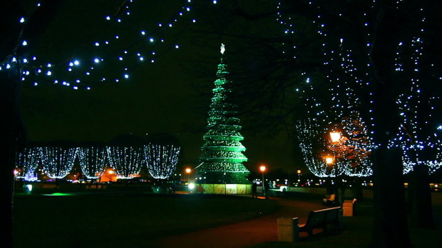 Christmas tree in Saint Petersburg at night