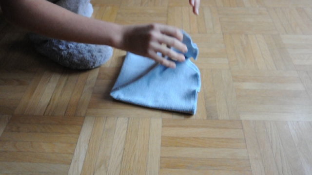 Putztag