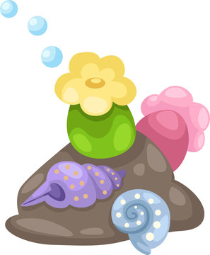 illustration coral and shells vector