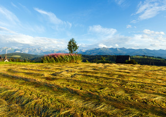 Summer mountain evening country view with mown field