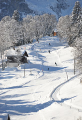 Alpine scenery, Braunwald, Switzerland