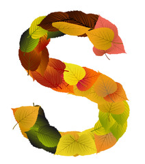 Buchstabe aus Blättern - S