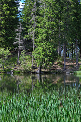Vrbicke pleso, Low Tatras - Slovakia