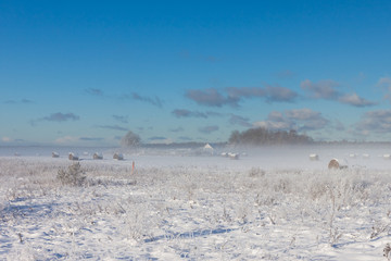 snowy hay bales in fog