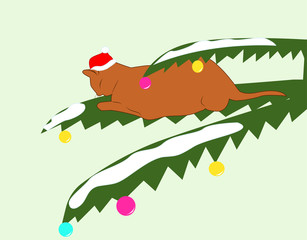 ginger cat in a Christmas cap