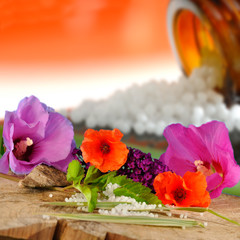 Globulis mit Blüten und Holzuntergrund