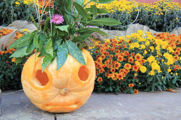Kürbis als Deko mit Blumen