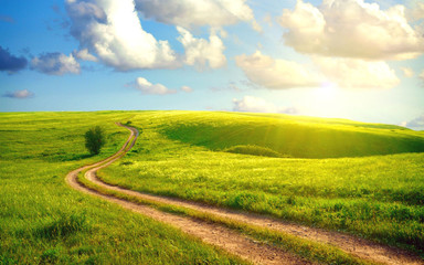 The path in the field under the sun