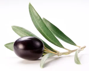 Gordijnen Ripe black olive with leaves. © volff