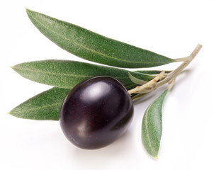 Ripe black olive with leaves.